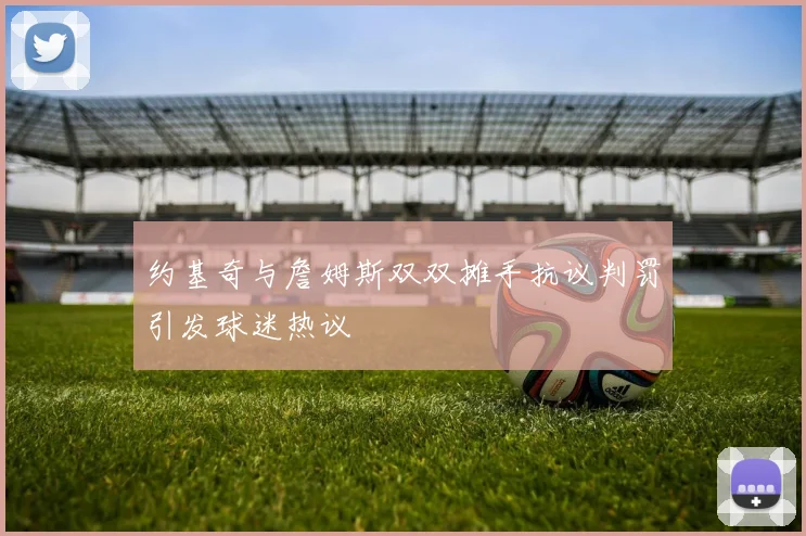 约基奇与詹姆斯双双摊手抗议判罚引发球迷热议