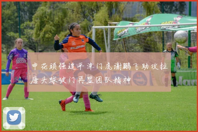 申花顽强追平津门虎谢鹏飞助攻拉唐头球破门再显团队精神