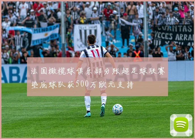 法国橄榄球俱乐部分账超足球联赛垫底球队获500万欧元支持